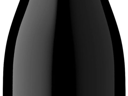 Argyle Pinot Noir Reserve 2017 Cheap