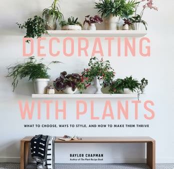 Decorating with Plants: What to Choose, Ways to Style, and How to Make Them Thrive Cheap